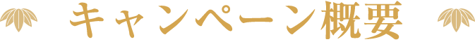 キャンペーン概要