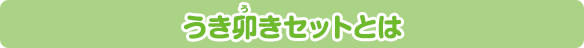 うき卯きセットとは