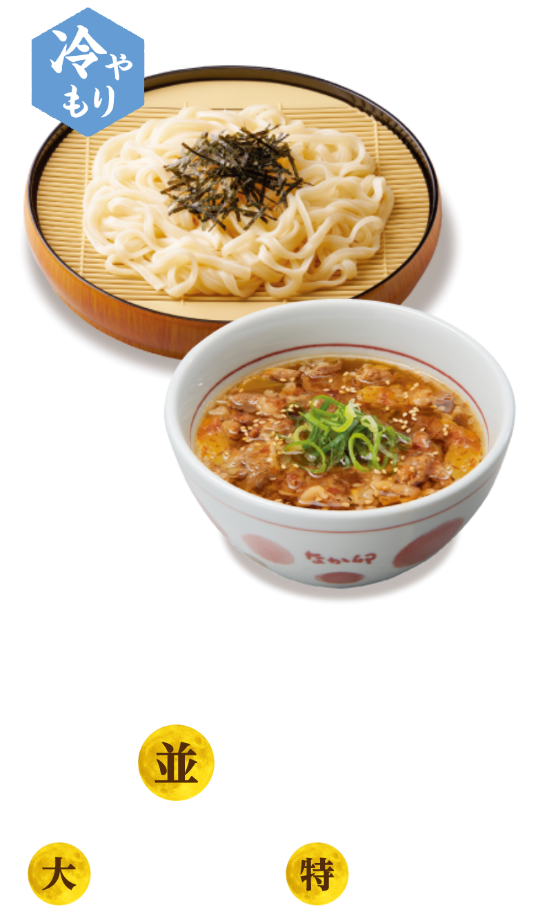 牛肉つけうどん