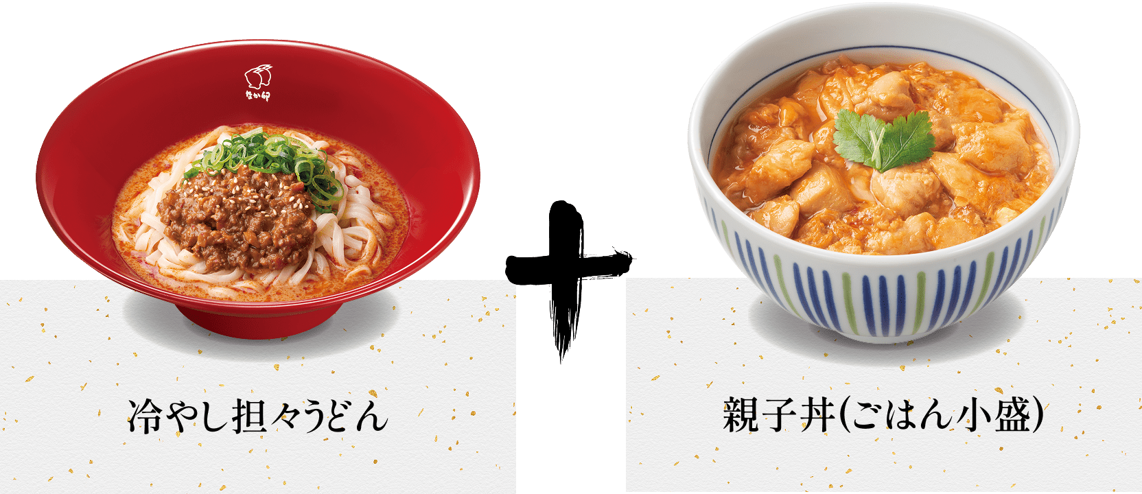 冷やし坦々うどんと親子丼（ご飯小盛り）