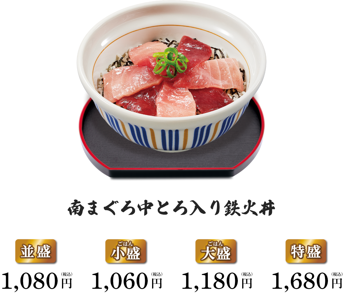 南まぐろ中とろ入り鉄火丼