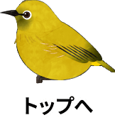 ページトップへ