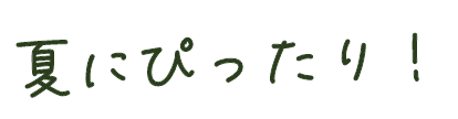 夏にぴったり！