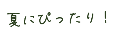 夏にぴったり！