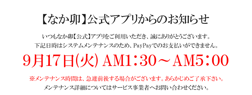 nPayPay-1.png