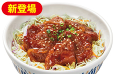 特製かき揚げうどん なか卯の商品 丼ぶりと京風うどんのなか卯