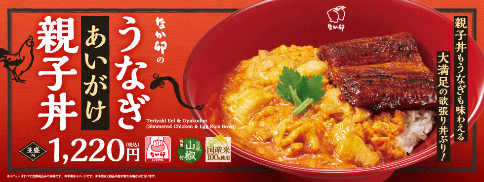 なか卯　どんぶり　和風 陶器 丼 なか卯どんぶり和風 陶器 丼