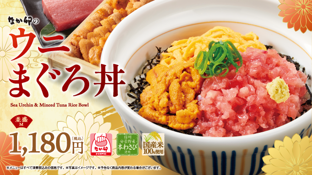なか卯どんぶり和風 陶器 丼