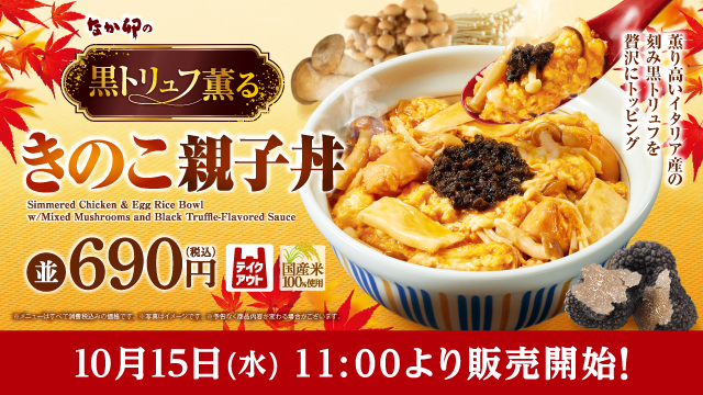 なか卯　丼　どんぶり　3つセット なか卯 丼 どんぶり 3つセット